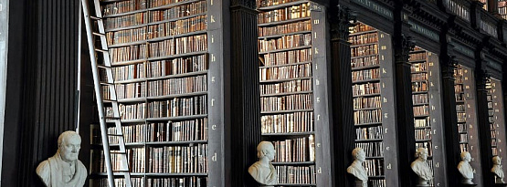 Библиотека, содержащая свыше 5000 книг